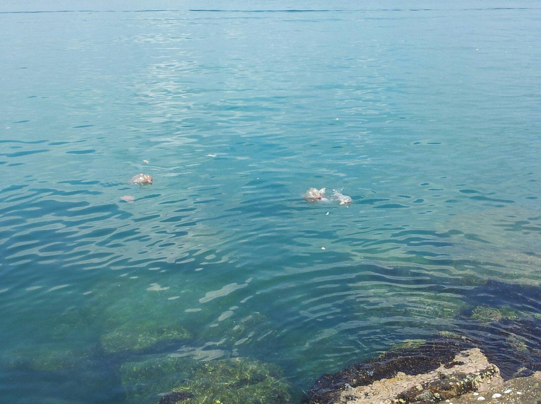 美蕊沙海滩-美蕊沙必去景点