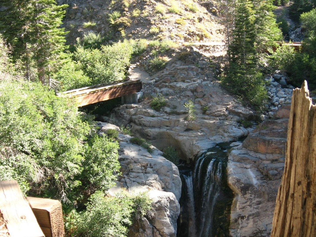 Mill Creek Falls景点图片