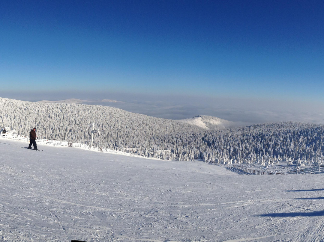 Ski areál Praděd景点图片