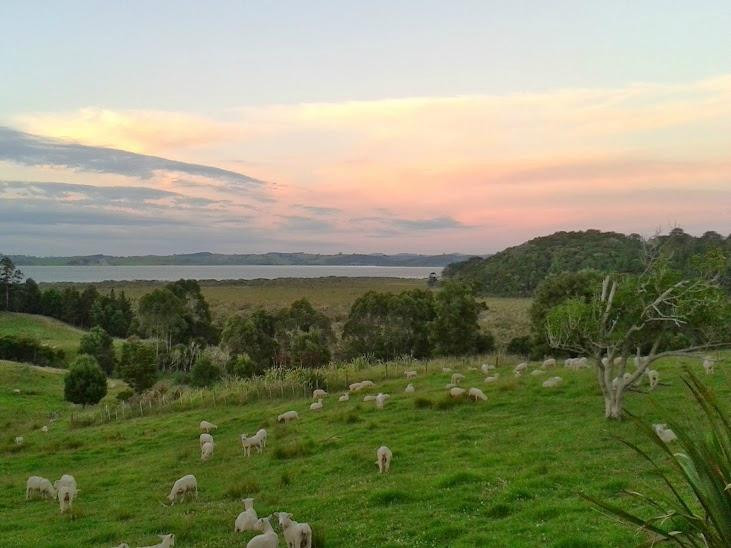 Atiu Creek Regional Park-Tapora必去景点