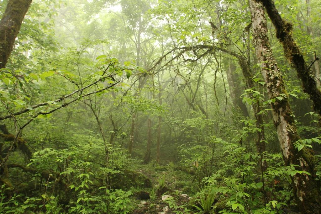 燕子沟风景区-泸定县必去景点
