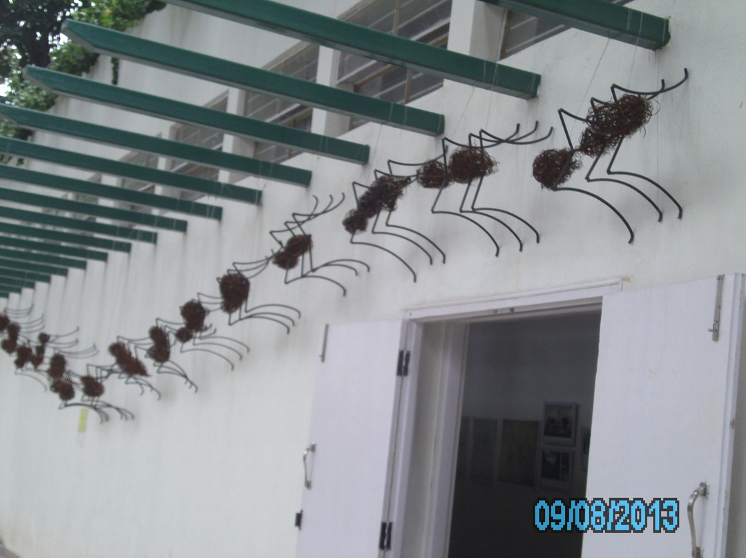 Mahatma Gandhi (MG) Road-班加罗尔必去景点