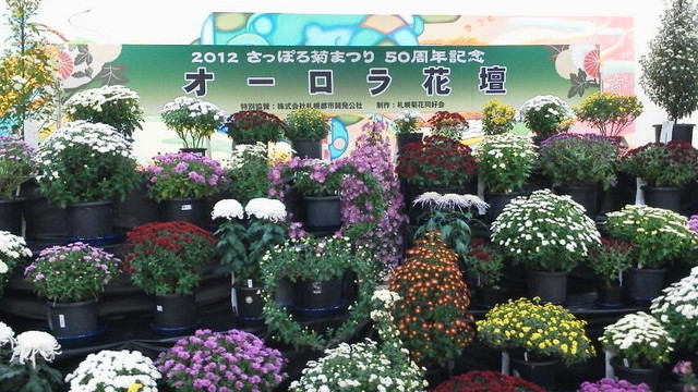 极光城-札幌市必去景点