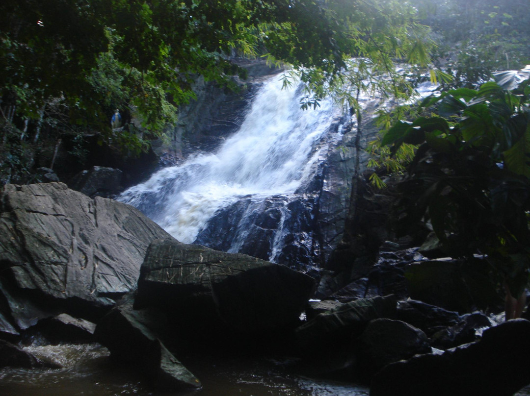 Cachoeira Bulha d'agua-Tamandare必去景点