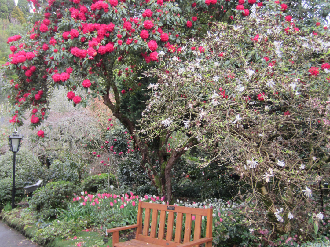Eden Garden-埃普索姆必去景点