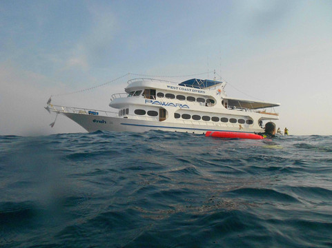 西海岸潜水员-查龙必去景点