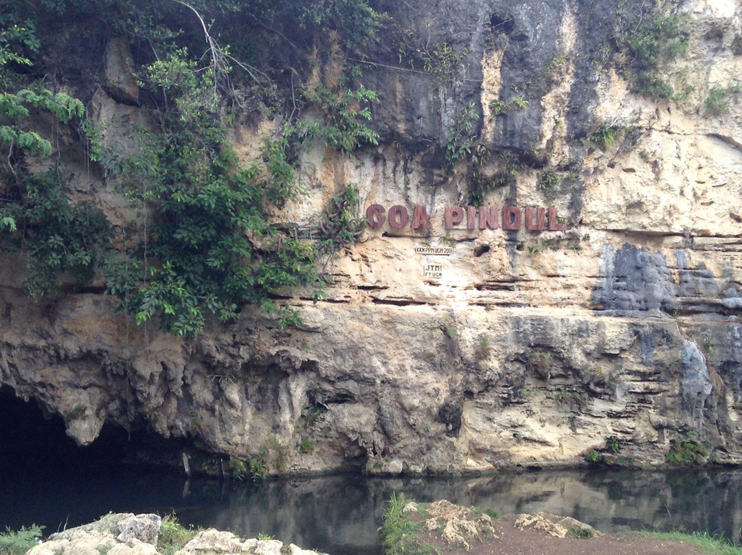 Cave Tubing Goa Pindul景点图片