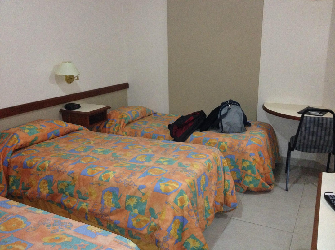 波苏阿雷格里酒店住宿-Fenix Hotel Pouso Alegre