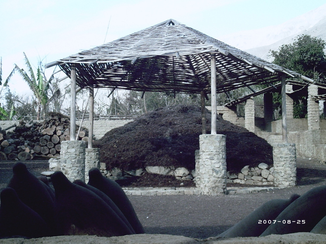 La Reyna de Lunahuana-Lunahuana必去景点