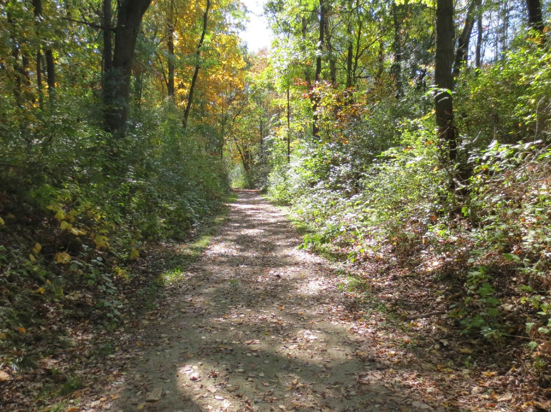 Cambridge House Bed and Breaffast主图