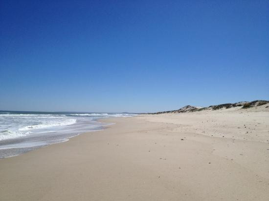 Rocherpan Nature Reserve-Velddrif必去景点