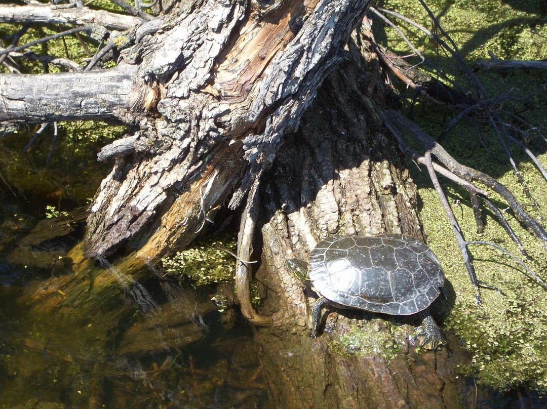 Fort Whyte Alive-温尼伯必去景点