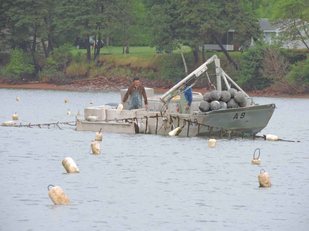 Tightline Tours-Montague必去景点