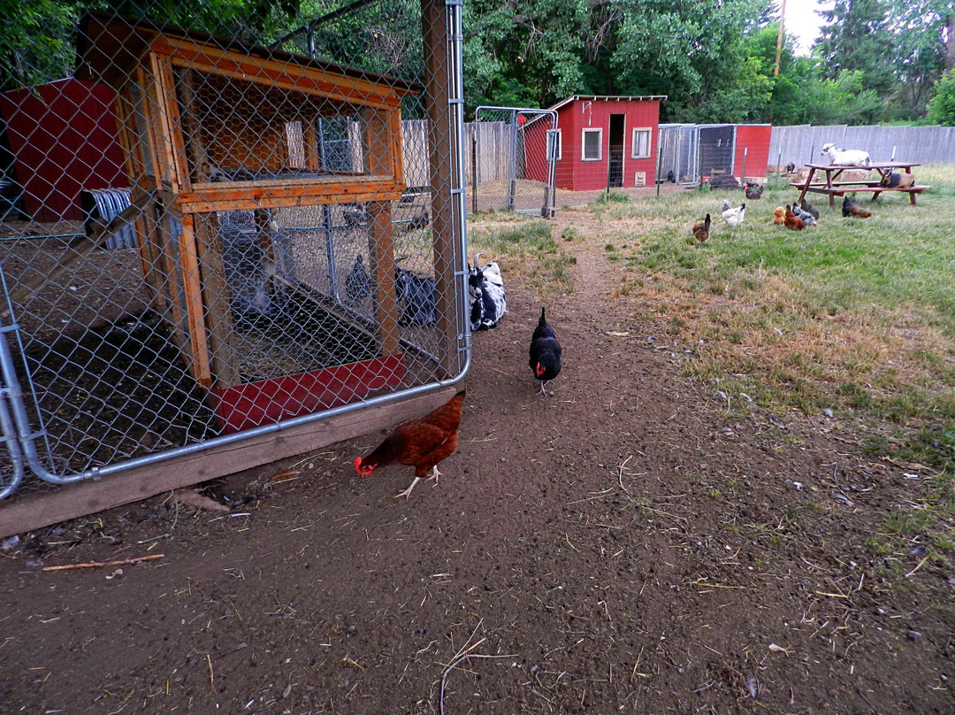 Lyons Farmette-Lyons必去景点