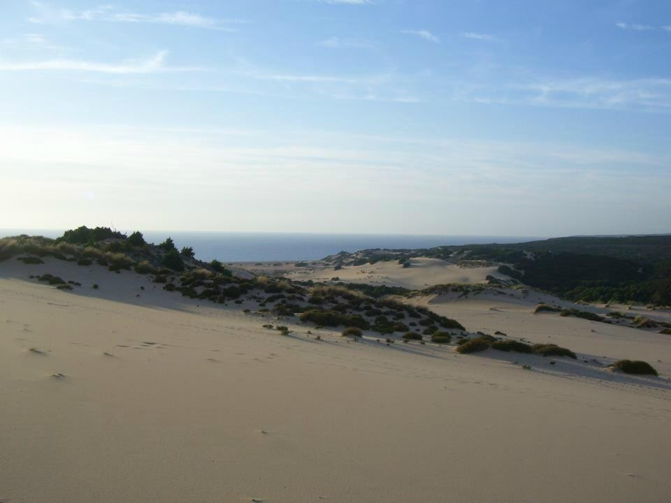 Spiaggia Le Dune di Piscinas-阿尔布斯必去景点