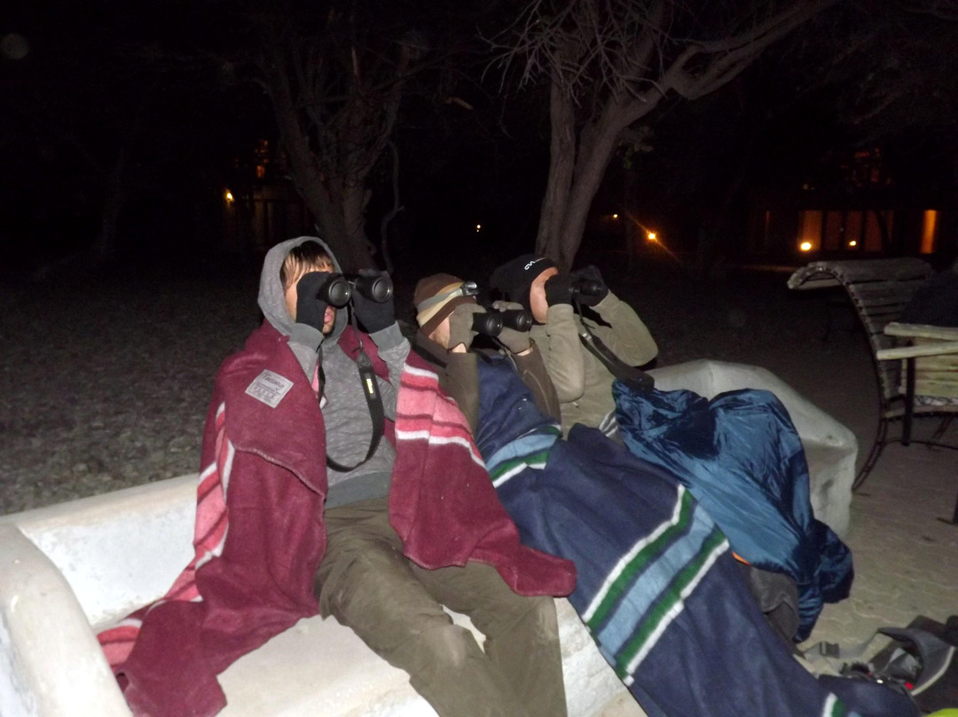 Okaukuejo waterhole-纳米比亚埃托沙国家公园必去景点