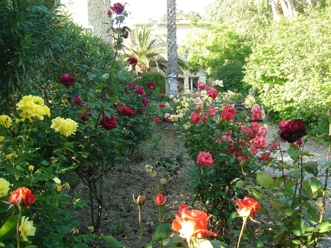 Domaine de la Roquette主图