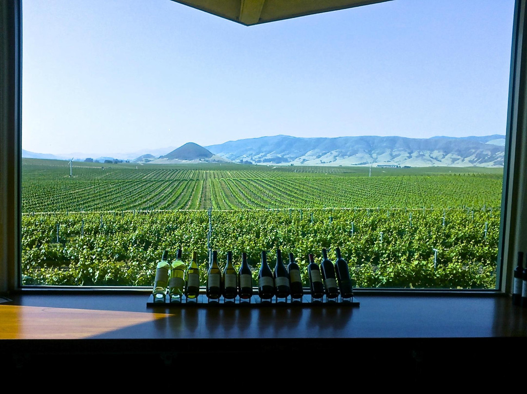Edna Valley Vineyard景点图片