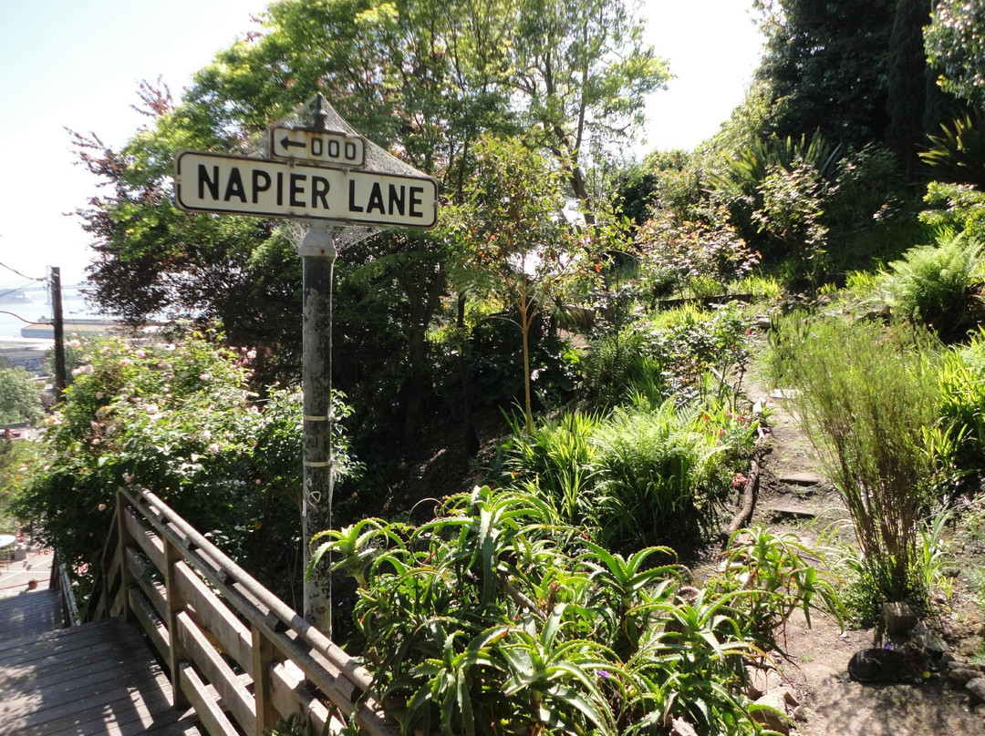 费尔波特步道-旧金山必去景点