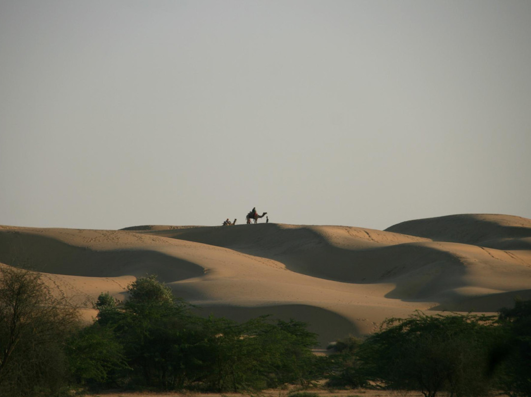 Desert National Park景点图片