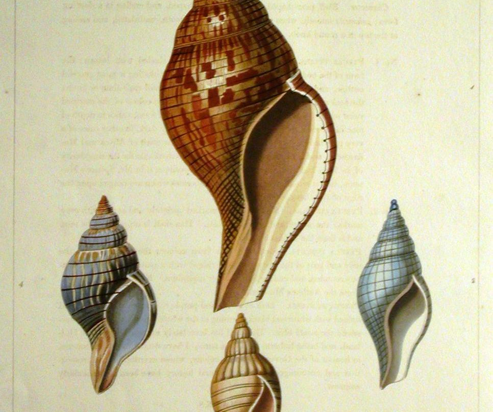 Tam O'Neill Fine Arts Gallery-丹佛必去景点