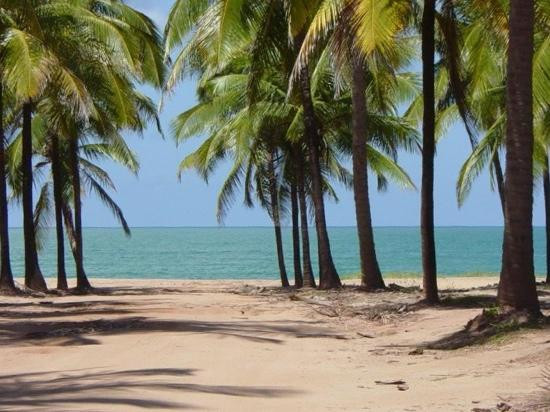 Praia De Maracaipe-嘎林海斯港必去景点