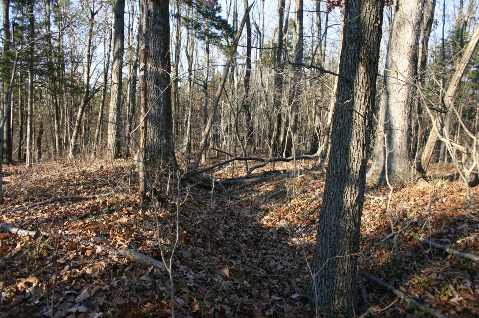 Hupp's Hill Civil War Park-Strasburg必去景点