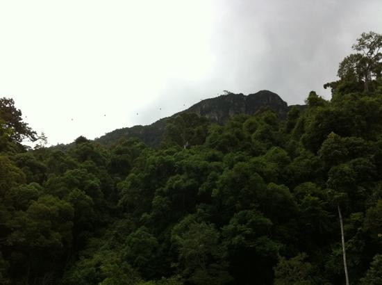 Telaga Tujuh Waterfalls-兰卡威必去景点