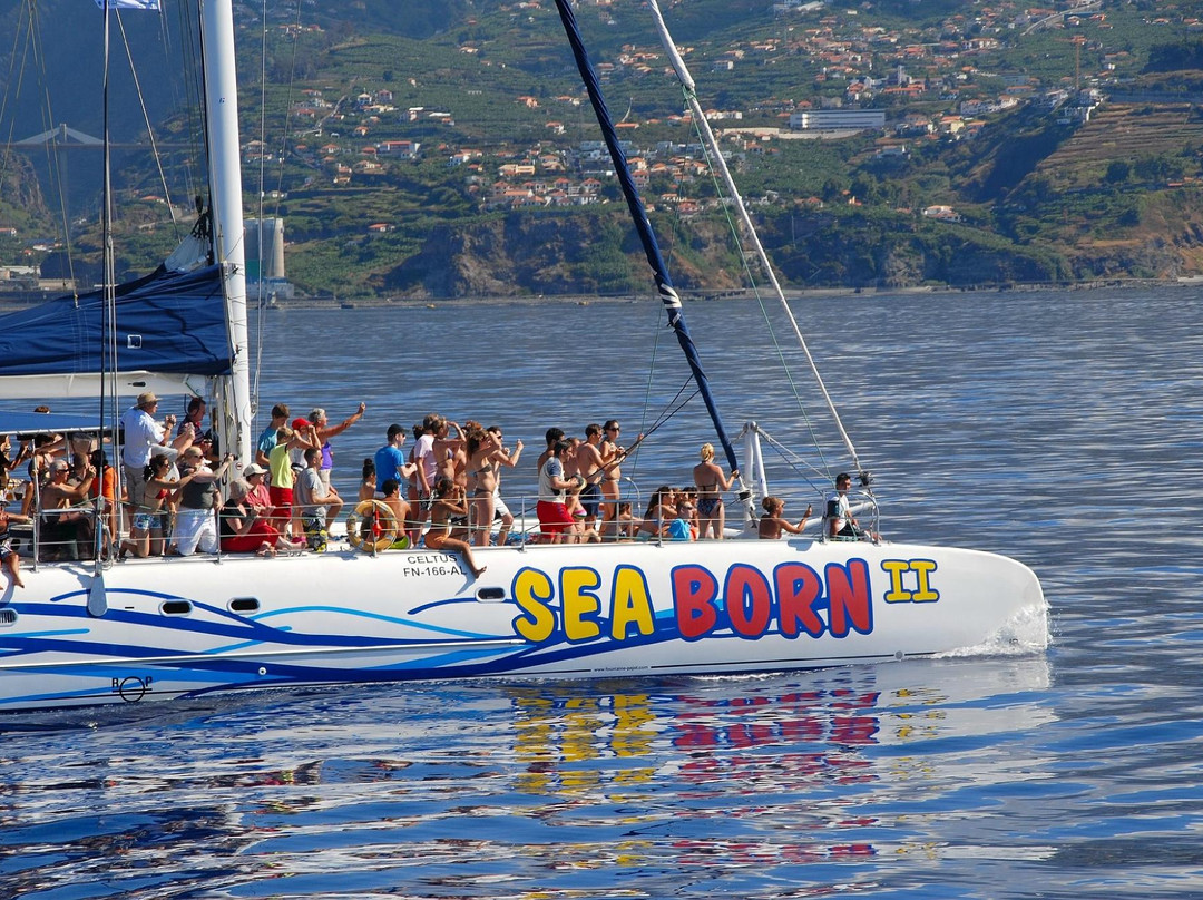 Seaborn Catamaran-沙尔必去景点