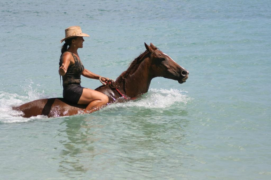 Being with Horses-Buccoo必去景点