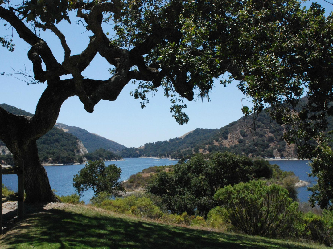Lopez Lake Recreation Area景点图片