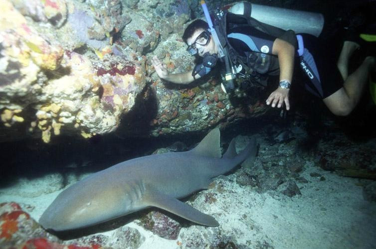 Fernado de Noronha Island-费尔南多-迪诺罗尼亚群岛必去景点