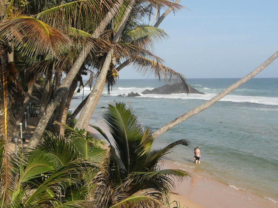 懒人蜥蜴酒店主图