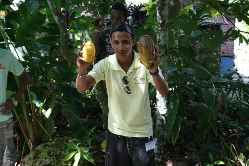 Brianda Jeep Safari Day Tours-Rio San Juan必去景点