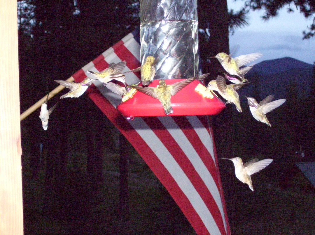 Forest Grove Bed and Breakfast主图