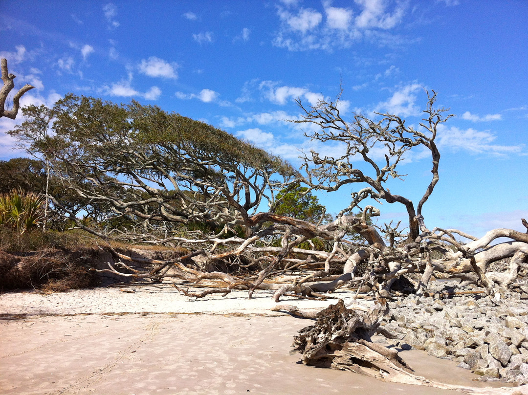 Driftwood Beach-吉柯岛必去景点