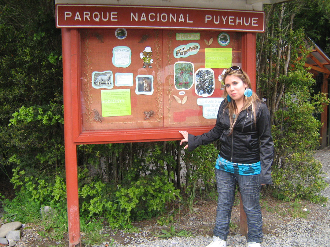 Termas y cabanas Aguas Calientes-Osorno必去景点