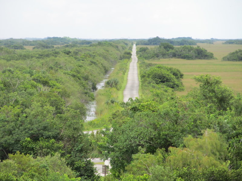 鲨鱼谷-大沼泽国家公园必去景点