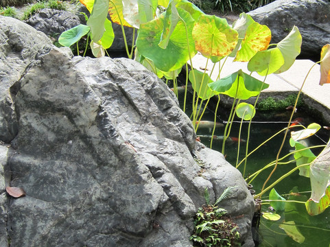 洛杉矶户外骑行登山活动-洛杉矶必去景点