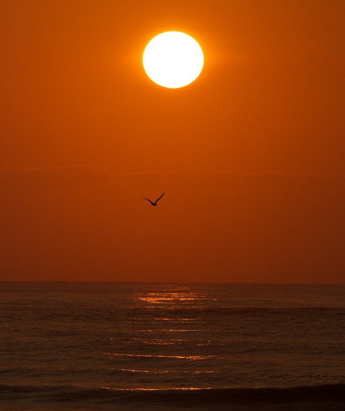 Huguenot Memorial Park-杰克逊维尔必去景点
