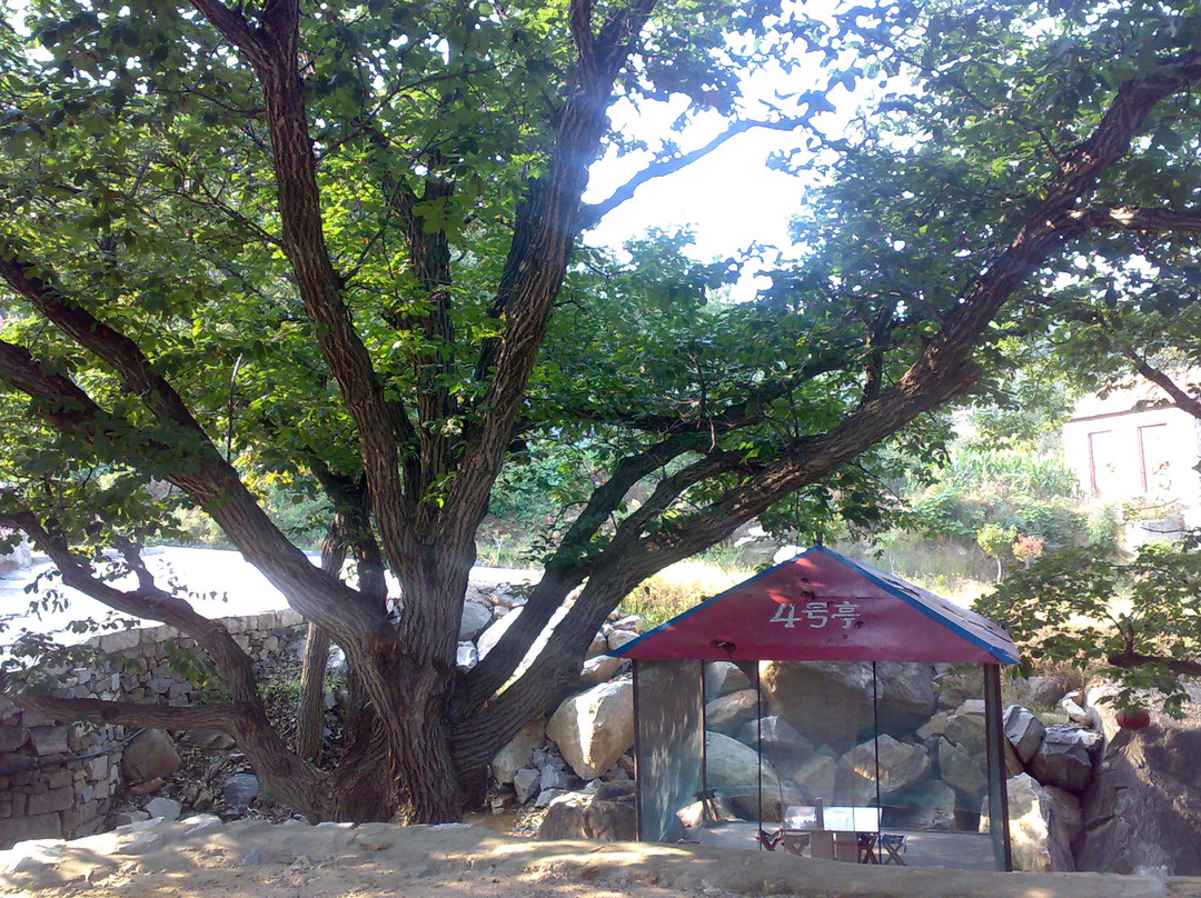 蒙山森林公园-蒙阴县必去景点