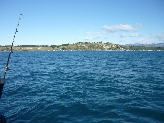 Koura Bay Fishing Charters景点图片