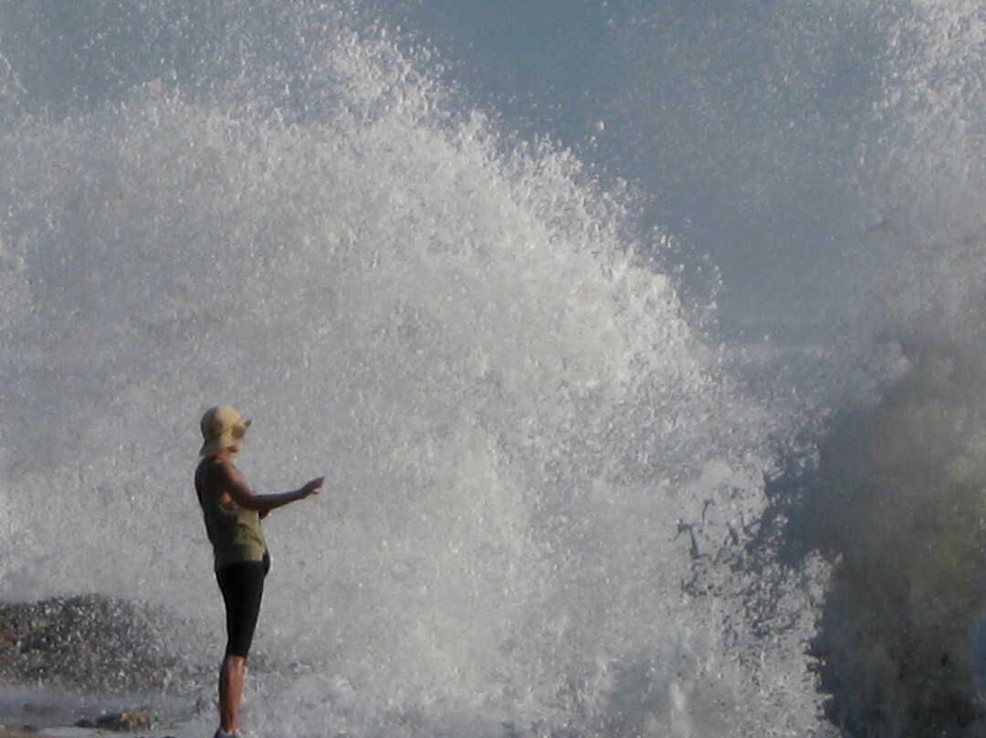 Blowing Rocks Nature Preserve-朱庇特必去景点