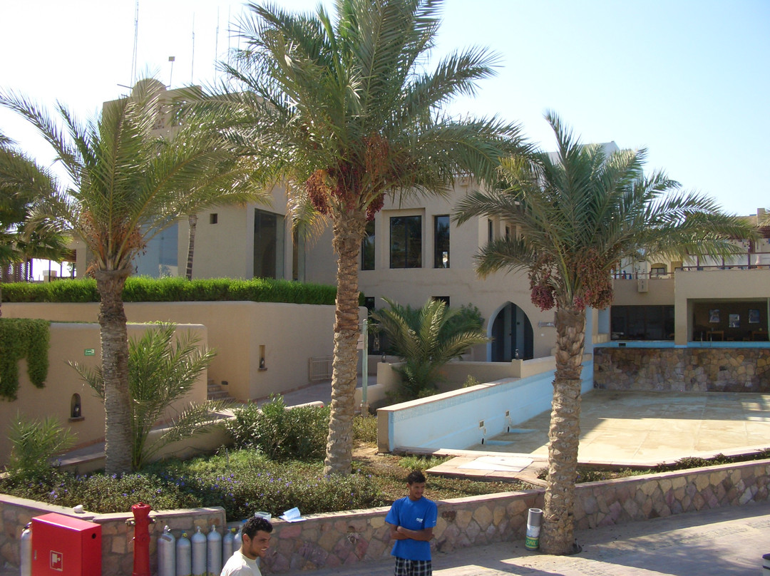 Emperor Divers-马萨阿拉姆必去景点