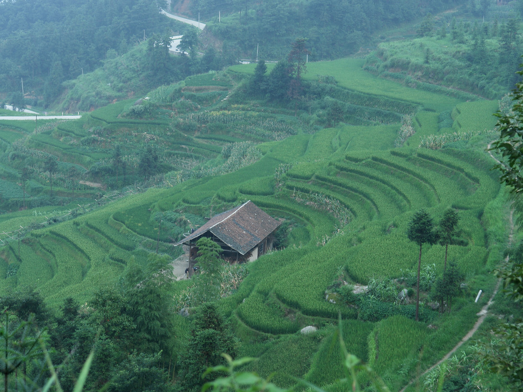 紫鹊界梯田国家级风景区-新化县必去景点