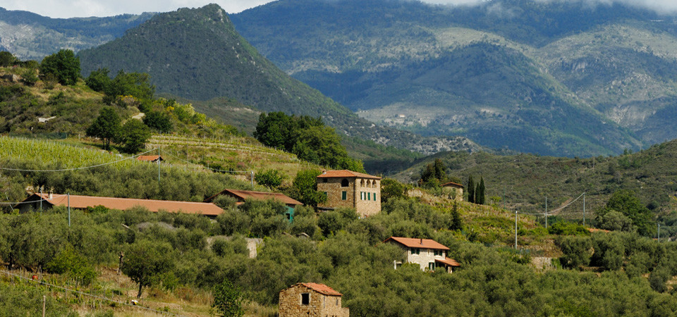 Terre Bianche Appartamenti