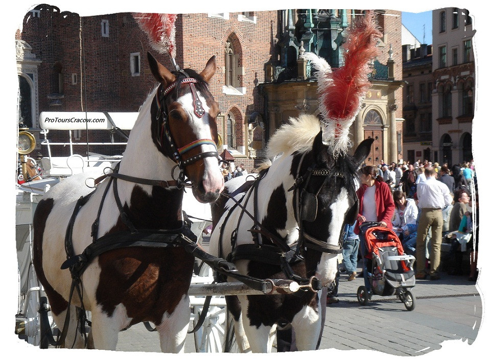 Pro Tours Cracow - Day Tours-克拉科夫必去景点