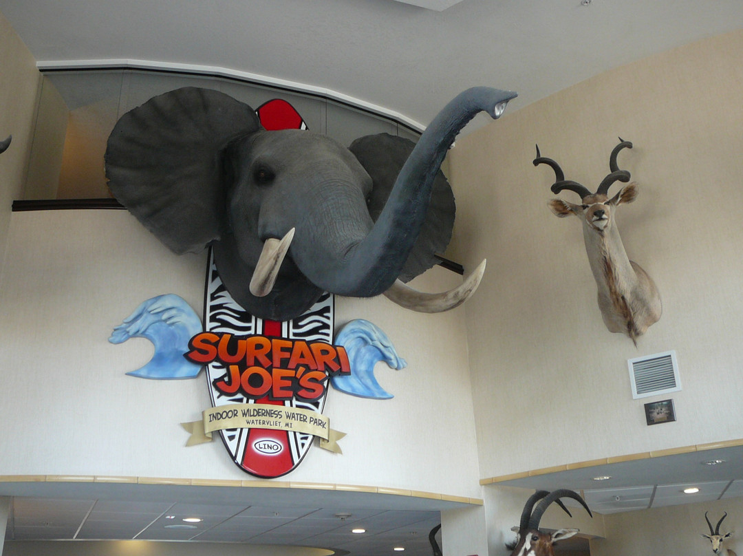 Surfari Joe's Indoor Wilderness Water Park-Watervliet必去景点