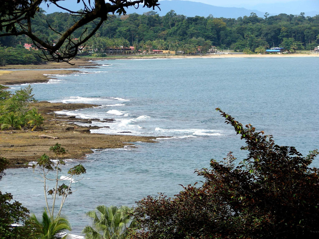 Tortuguero Wildlife Tour景点图片
