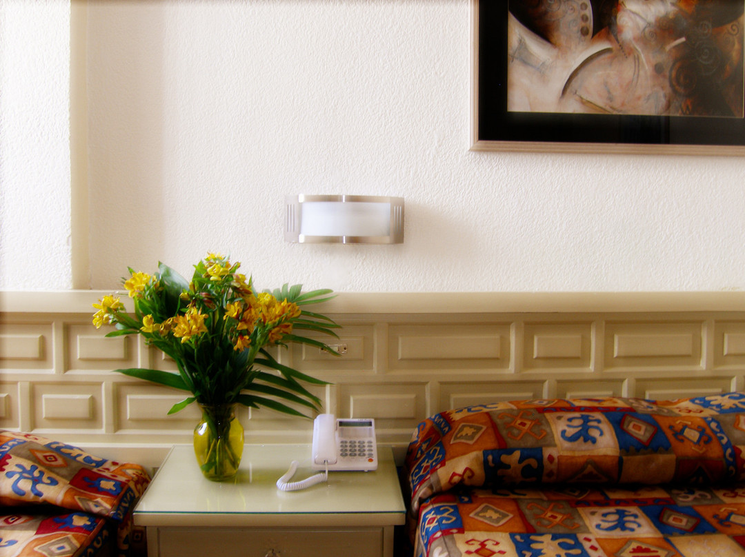 Hotel Del Valle主图